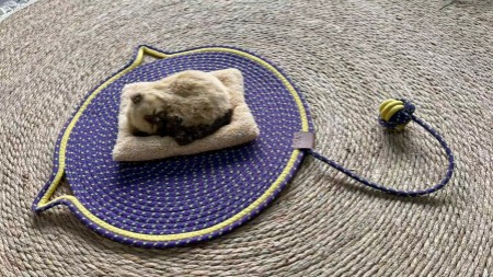 Pet mat-QDSR70005